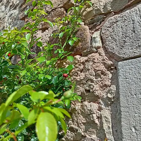 Maison De Caractere Au Coeur Des Grands Causses Viala-du-Tarn