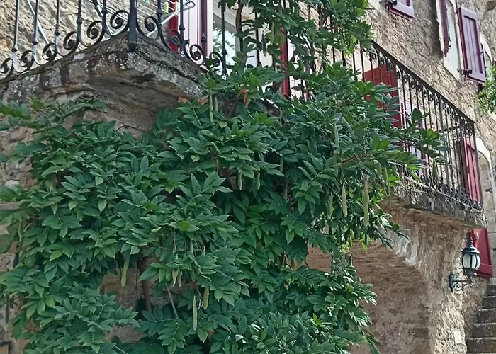 Maison De Caractere Au Coeur Des Grands Causses Tatil Evi Viala-du-Tarn