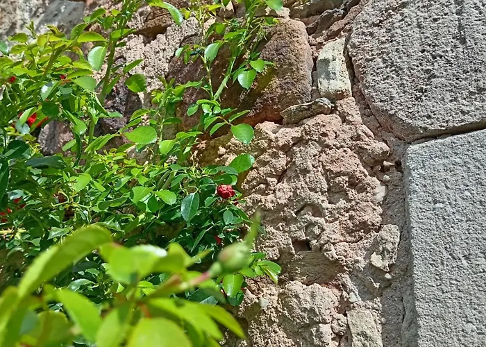 Maison De Caractère Au Cœur Des Grands Causses Viala-du-Tarn