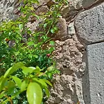 Maison De Caractere Au Coeur Des Grands Causses Viala-du-Tarn